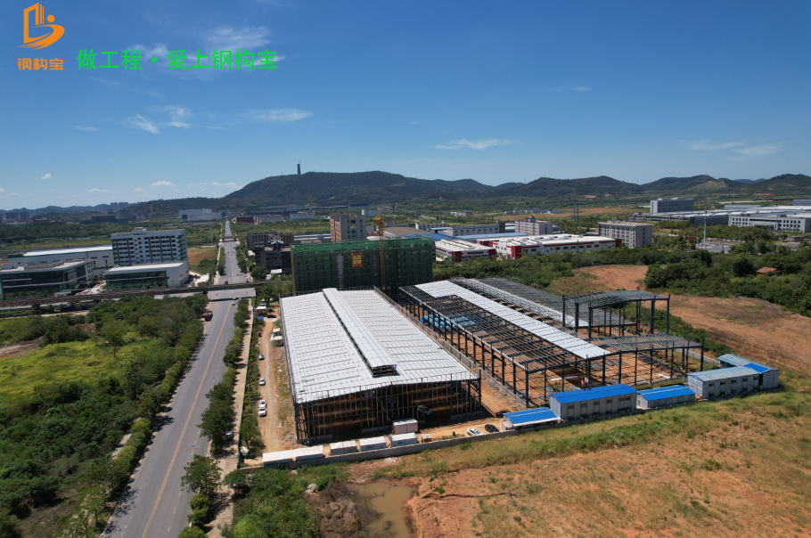 住湘全国政协委员石磊呼吁：让乡村绿色建造“看着美、建得起、用的好”