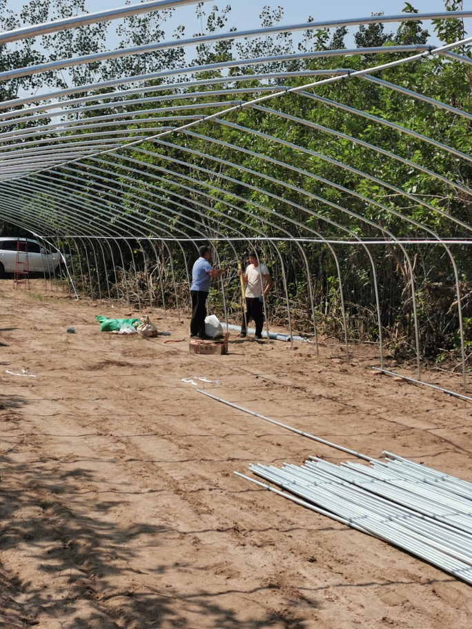 温室骨架加工厂，温室工程设计与安装，助力三农，构建农业发展新格局...