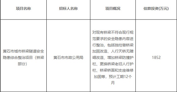 黄石桥梁隧道安全治理工程寻承包