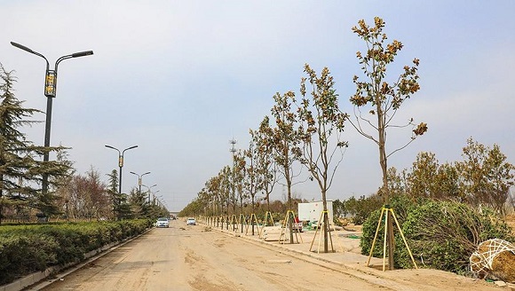 鄂州金明大道建设工程寻承包