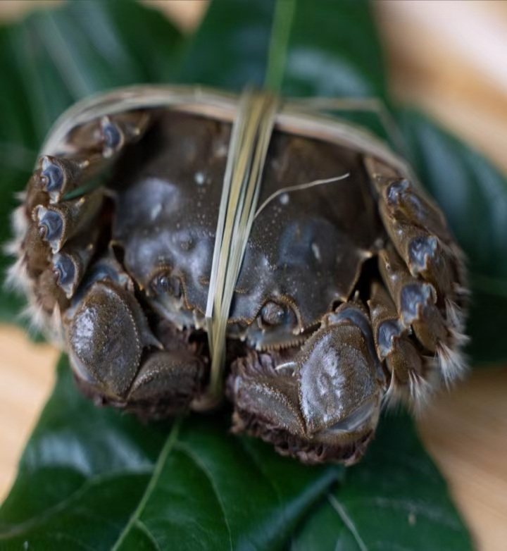 阳澄湖大闸蟹正品