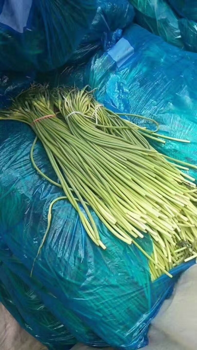 金乡蒜苔蒜薹大落价可储存配资