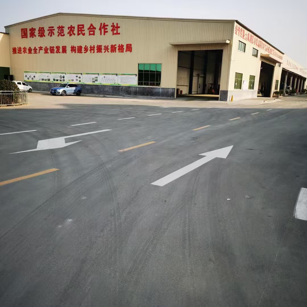 金乡蒜苔蒜薹大落价可储存配资