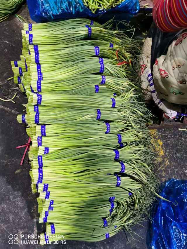 金乡蒜苔蒜薹大落价可储存配资