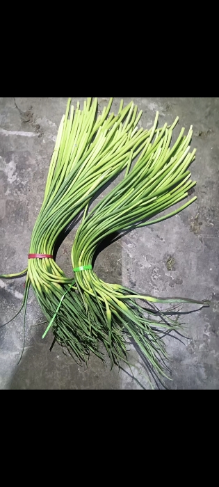 金乡蒜苔蒜薹大落价可储存配资