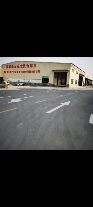 金乡蒜苔蒜薹大落价可储存配资