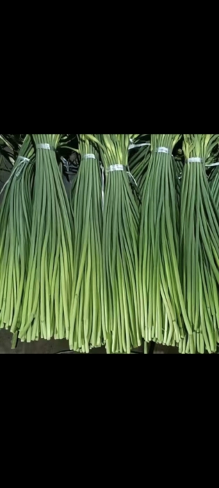 金乡蒜苔蒜薹大落价可储存配资