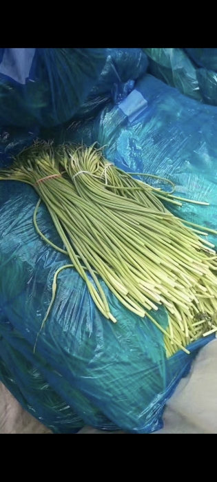 金乡蒜苔蒜薹大落价可储存配资