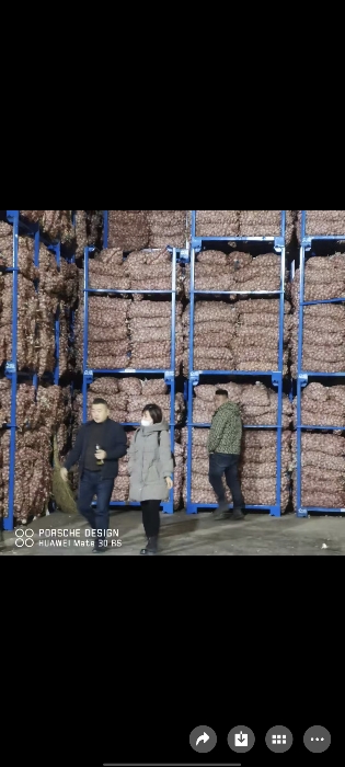 金乡蒜苔蒜薹大落价可储存配资
