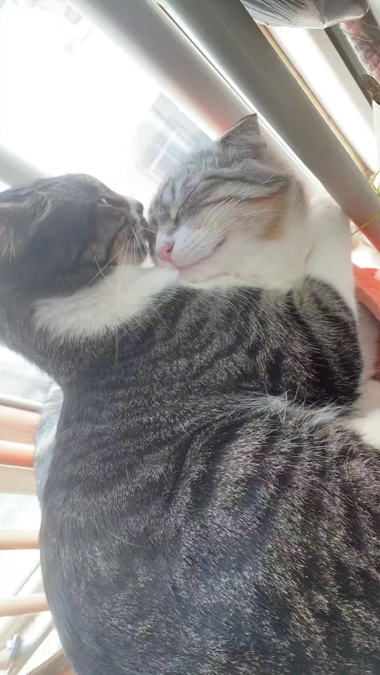 生产商