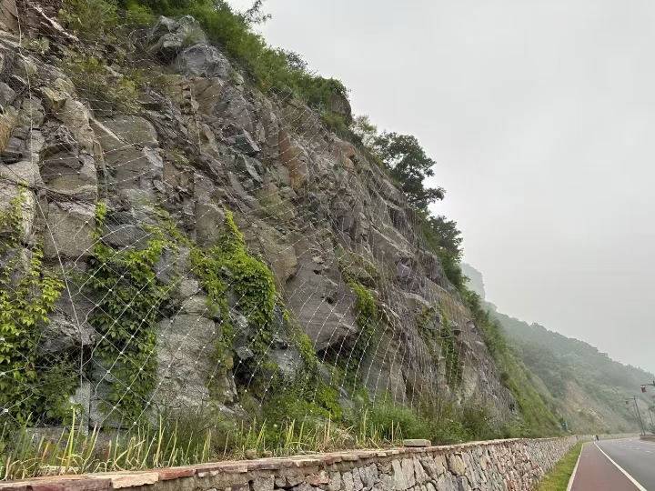 山坡防护网